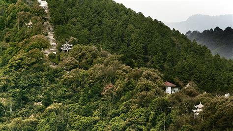 Dwelling in the Fuchun Mountains An Ode to Tranquility and Nature's Grandeur!